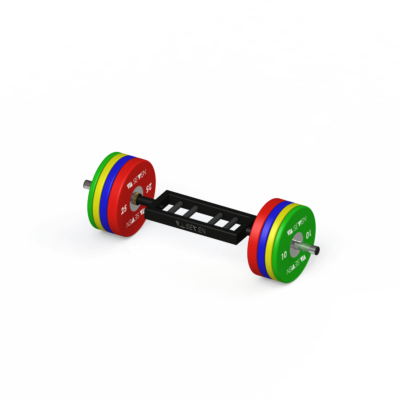 VA SEVEN Curl Bar Swiss Plates