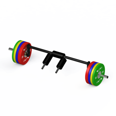 VA SEVEN Safety Squat Bar Plates