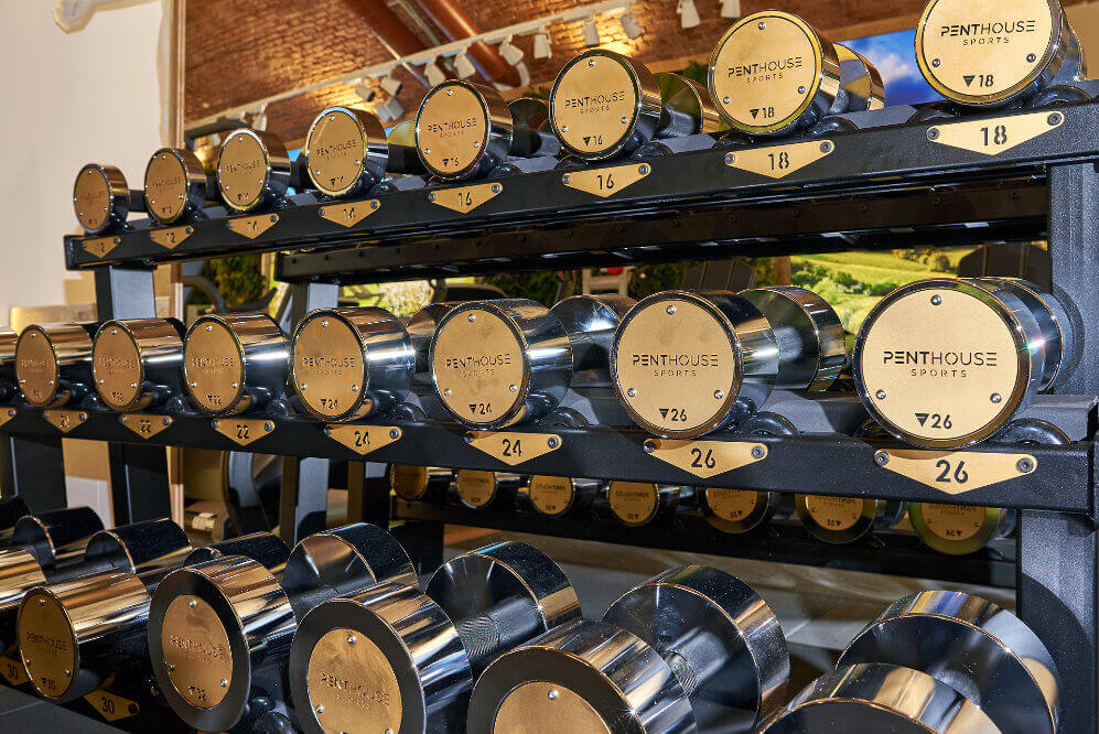 Penthouse Sports Gold Kurzhanteln